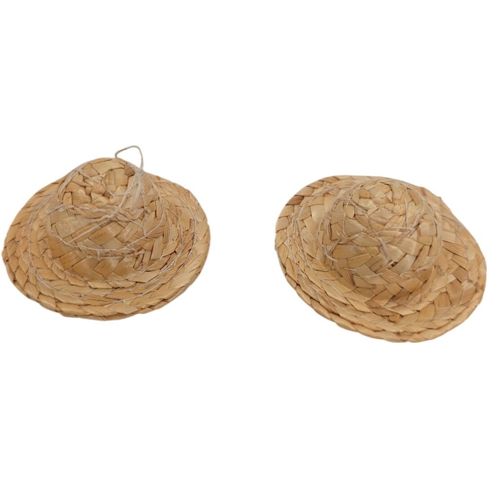 Mini Straw Sombrero Hats Small Woven Palm Craft Decor 2 in Lot of 2